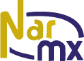 NARMX